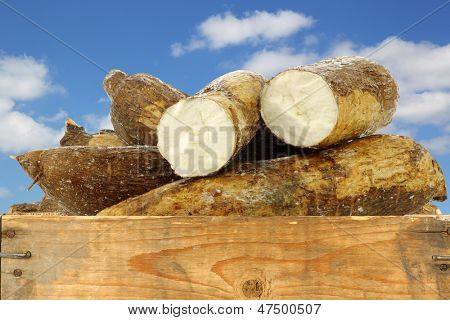 radice di manioca e alcuni pezzi in una cassa di legno contro un cielo blu con nuvole