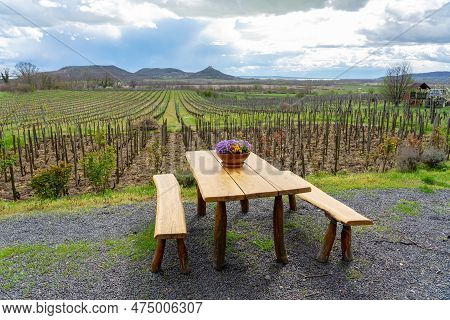 Vinery Vineyard On Saint George Hill Next To Lake Balaton With Wooden Table Spring