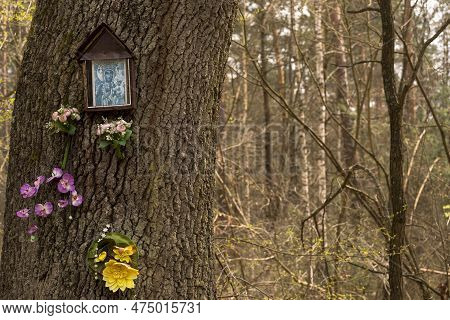 Poland Around Ostrowiec Swietokrzyski April 18, 2023 At 12:01. A Forest Chapel On An Oak Tree Decora
