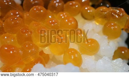 Close Up Of Sashimi Salmon Roe With Rice Bowl Or Donburi In Japanese Style Food.