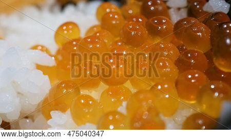 Close Up Of Sashimi Salmon Roe With Rice Bowl Or Donburi In Japanese Style Food.