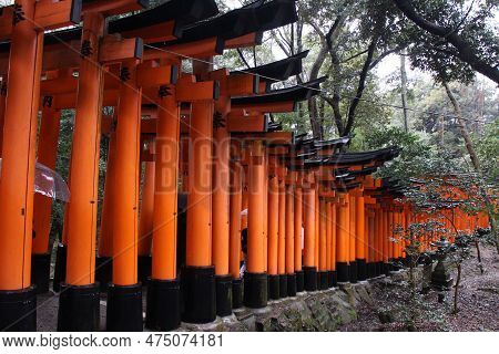 Fushimi Inari Shrine In Kyoto, Japan (many Toriis With Kanji Words Meening 