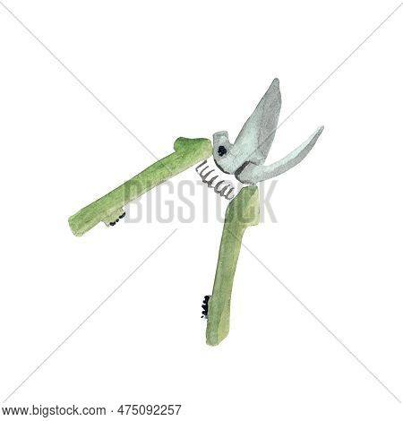 Pruner Green. Pruning Shear For Garden. Clipart. Watercolor Illustration