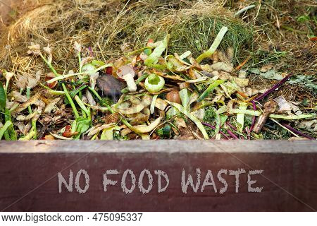 No Food Waste - Text On The Front Of A Compost Bin With Food Scraps And Grass Clippings. Composting 