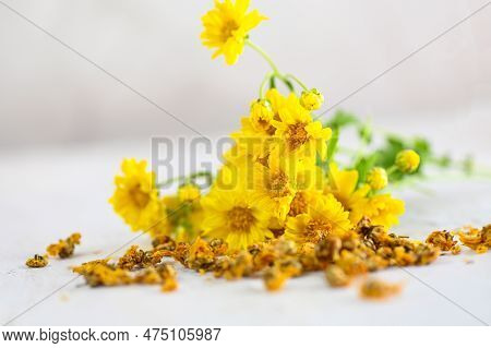 Chinese Chrysanthemum Flower Tea - Dried Chrysanthemum Buds For Herbal Tea On Wooden Background, Dry