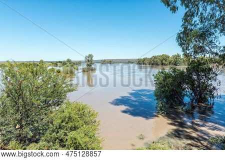 The Flooded Orange River At Samevloeiing Near Douglas Where The Vaal River Joins From The Right