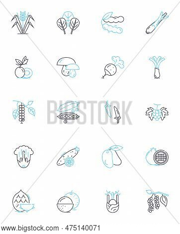 Food Mart Linear Icons Set. Groceries, Produce, Meat, Dairy, Snacks, Beverages, Bakery Line Vector A