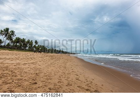 View Of Imbassai Beach, Bahia, Brazil. Beautiful Beach In The Northeast With A River And Palm Trees.