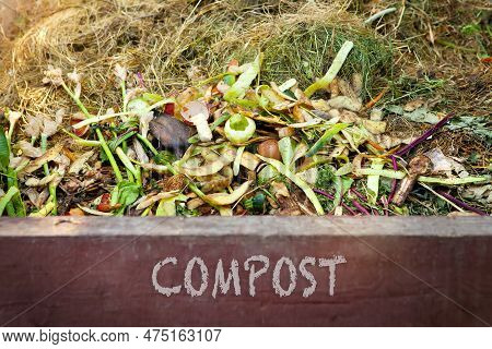 Compost - Text On The Front Of A Compost Bin With Food Scraps And Grass Clippings. Composting A Pile