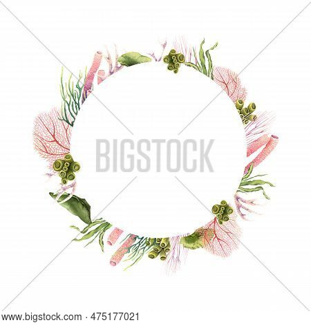 Wreath With Underwater Corals And Plants. Hand Drawn Watercolor Illustration Isolated On White Backg