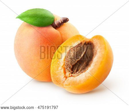 Isolated Apricots. Fresh Whole Apricot Fruit With Leaf And Half Isolated On White Background With Cl