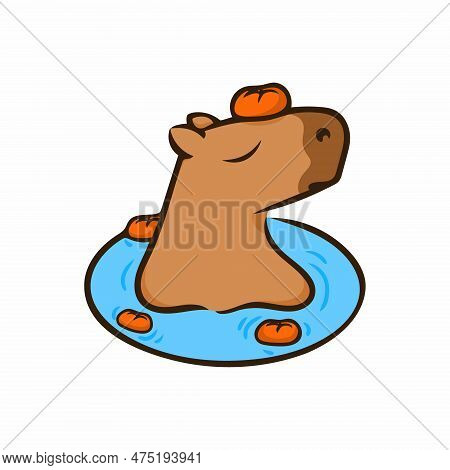 Relaxing Capybara With Tangerines. Vector Illustration. Capybara In Water. Image Isolated On White B