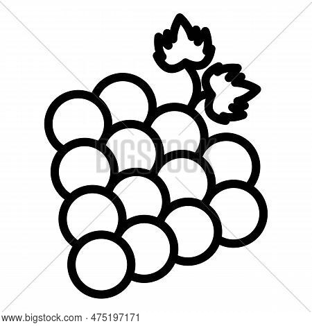 Grape Icon. Icon Of Grape In Outline Or Line Style.