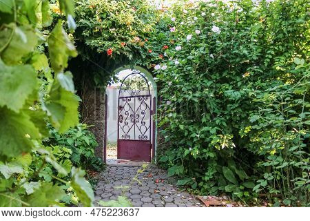 Door Covered With Hibiscus And Kampsis Bushes