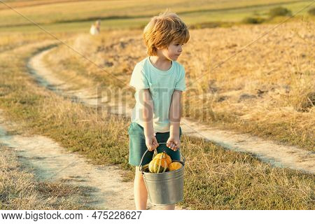 Cute Toddler Boy Working On Farm Outdoors. Child Farmer In The Farm With Harvest At Countryside Back