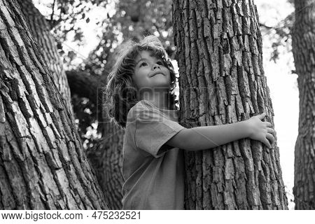 Young Boy Hugging A Tree Branch. Little Boy Kid On A Tree Branch. Child Climbs A Tree.