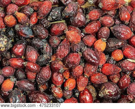 Illustration Of Background Made Of Dry Rose Hips. Fharmaceutical Raw Materials. Healing Herbs Rosae 