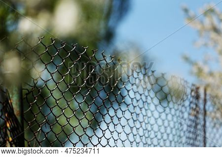 Rusty Old Mesh Cage In Garden With Green Trees And Blue Sky As Background. Steel Iron Metal Fence Wi