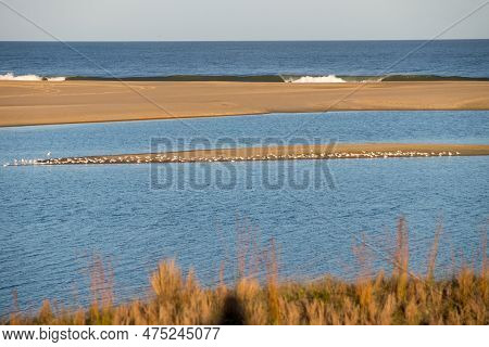 View Of The Entrance Of The Garzon Lagoon To The Atlantic Ocean, With A Group Of Seagulls Nesting On