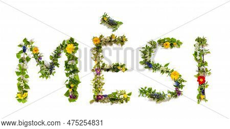 Colorful Flowers Building Word Mesi, Isolated Background
