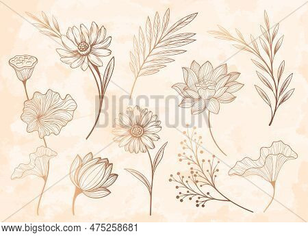 Gold Floral Outline Set. Collection Of Flowers, Branches And Plants. Aesthetics And Elegance. Summer