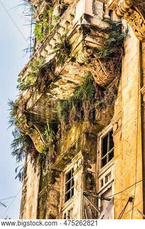 Havana, Cuba - July 18 2018 : A Abandoned House With Plants Growing All Around