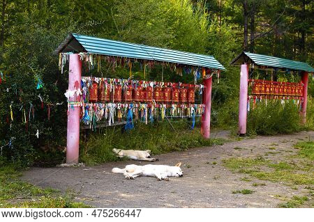 Buddhist Prayer Red Drums With Colorful Ribbons. Stray Dogs Sleep At Sacred Pillars.