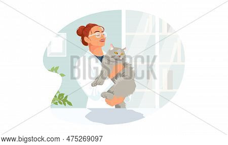 Cat At Veterinary Visit In Medical Clinic Office. Gray Kitty In Hands Not Anxiety And Stress On Ther