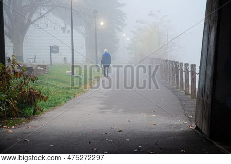 Rear View Caucasian Walking Dog In Early Foggy Morning Along Riverside Pathway, Light Poles, River B