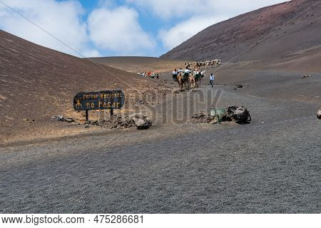Timanfaya, Spain - August 10, 2018:tourists Ride Camels Inside The Timanfaya National Park And The V