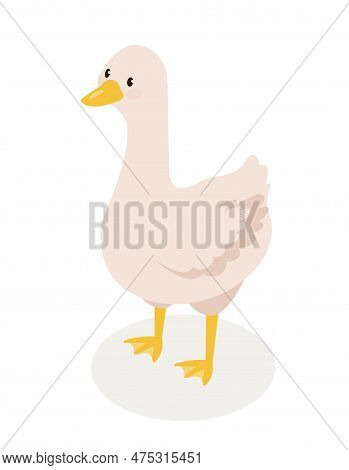 Isometric Farm Goose Concept. White Bird With Yellow Beak, Wings And Feathers. Livestock And Farming