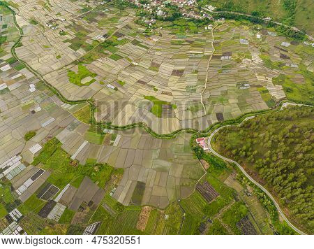 Farmland In The Countryside. Agricultural Landscape In Sumatra. Berastagi, Indonesia.