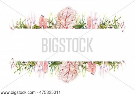 Horizontal Banner Frame With Underwater Corals And Plants. Hand Drawn Watercolor Illustration Isolat