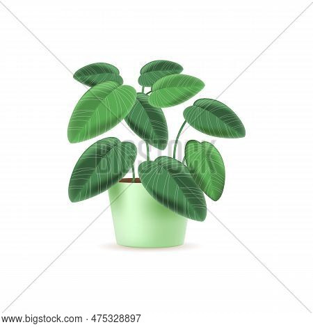 Maranta Plant In Pot 3d Vector Illustration. Indoor Garden Potted Flower For House Decoration In Car