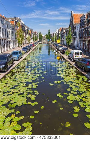Gouda, Netherlands - May 21, 2020: Water Plants In The Water Of The Turfmarkt Canal In Gouda, Nether