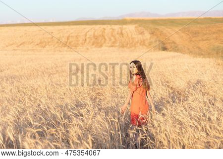 Young Woman In The Wheat Field. Look Back. Finding Inner Balance Concept. Copy Space