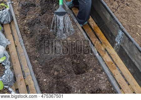 View Of Preparation Of Beds By Watering From Watering Can Deepening Hole In Beds For Planting Seedli