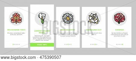 Flower Spring Floral Blossom Onboarding Mobile Vector. Nature Garden, Leaf Petal, Abstract Plant, Sh