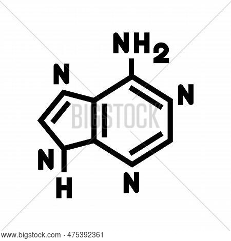 Nucleic Acid Bases Biochemistry Line Icon Vector. Nucleic Acid Bases Biochemistry Sign. Isolated Con