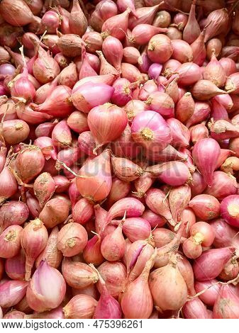 Red Onion Are Spread Out After Harves