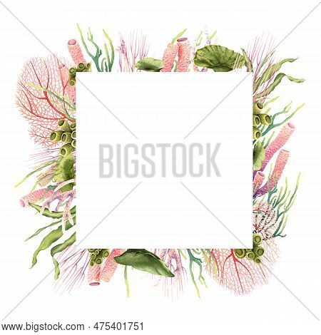 Square Frame Border With Underwater Corals And Plants. Hand Drawn Watercolor Illustration Isolated O