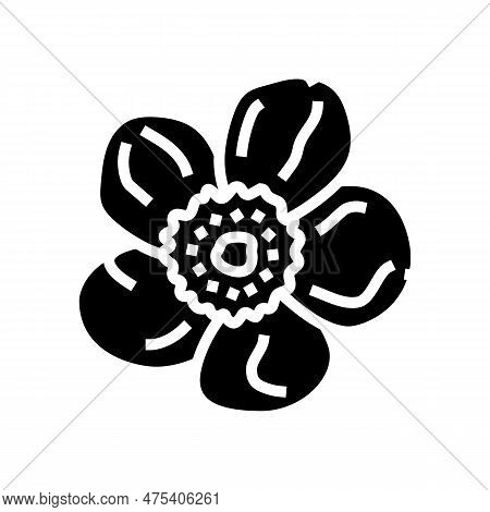 Buttercup Blossom Spring Glyph Icon Vector. Buttercup Blossom Spring Sign. Isolated Symbol Illustrat