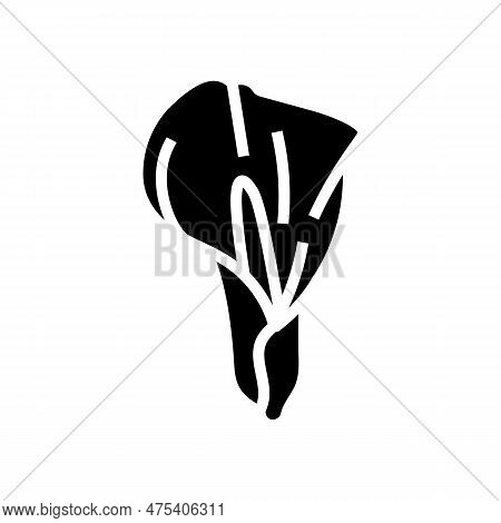 Calla Lily Blossom Spring Glyph Icon Vector. Calla Lily Blossom Spring Sign. Isolated Symbol Illustr