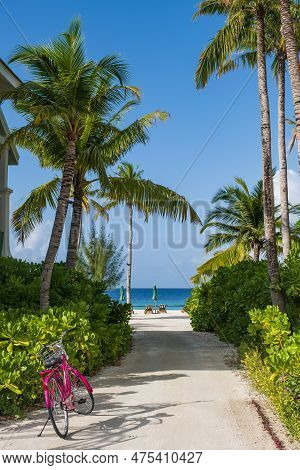 Path With Palms And Flowers In Crossroads Maldives Resort. Saii Lagoon, July 2021
