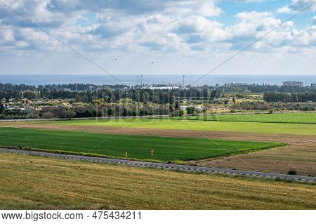 Green Landscape View Over A Straigh Road Through Green Agriculture Fields, Yeroskipou, Cyprus
