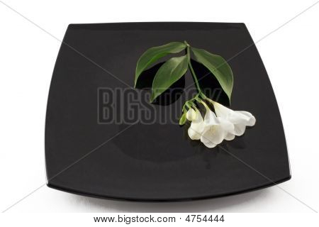 Üstünde belgili tanımlık Flowerses nöbet; tutun.