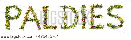 Colorful Flowers Building Word Paldies, Isolated Background