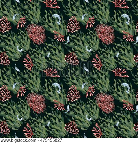 Seamless Pattern Of Laminaria And Coral Watercolor Isolated On Black Background. Pink Agar Agar, Sea