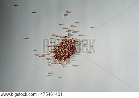 Buckwheat Grain On White Background. Healthy Superfood Diet
