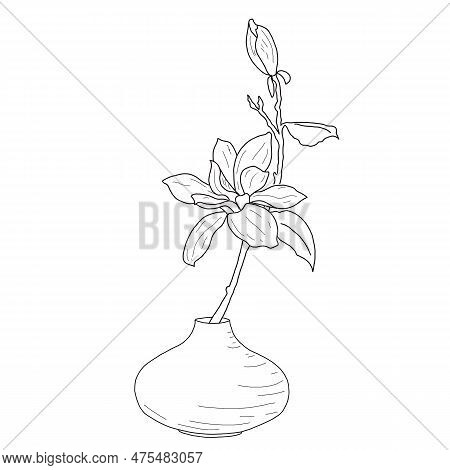 Drawing Of A Magnolia In A Vase, Hand-drawn, Linart. High Resolution, Suitable For Printing On Any S